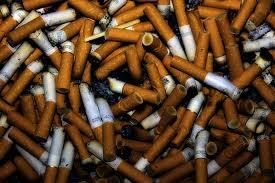 Paris-chasse-megots-cigarette-ouverte-L-DSUFCj_jpeg_pagespeed_ce_TmQpKdnP4X