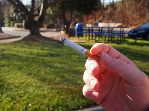 Cigarette-parcs-et-jardins_Flickr_Fried-Dough-630x0-620x464