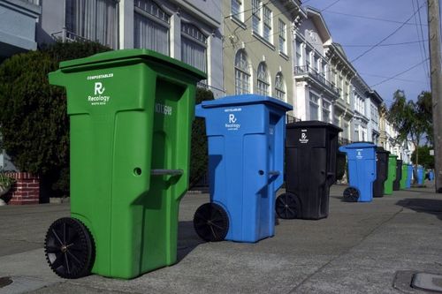 Sf_bins-650x433