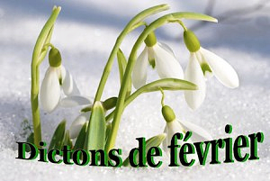 Dictons_fevrier-300x201