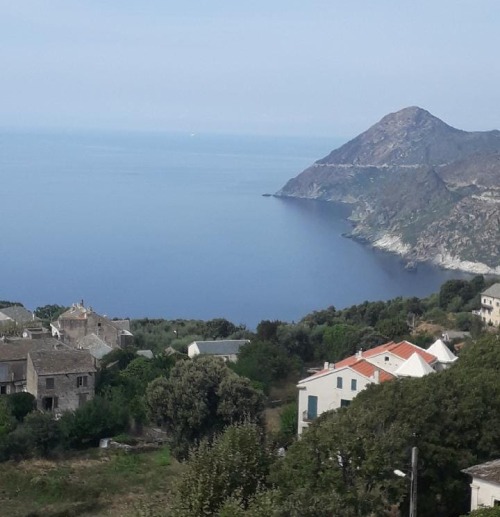 Canari vue sur le cap