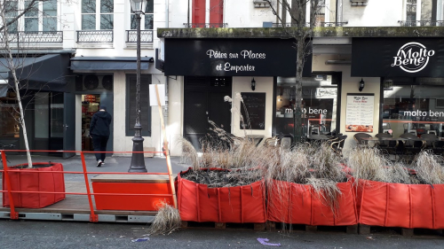 Mob végétal rue hotel st paul