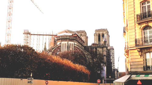 Notre dame travaux 27 11 20