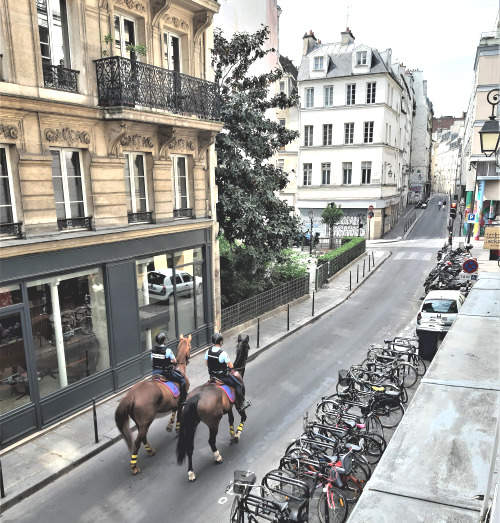 Haudriettes chevaux gendarmerie 25 04 20