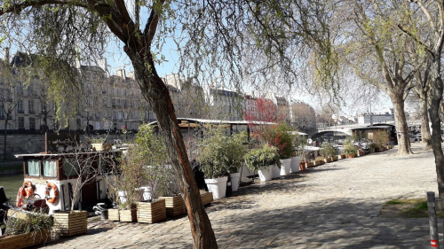 Berges de seine 24 03 21